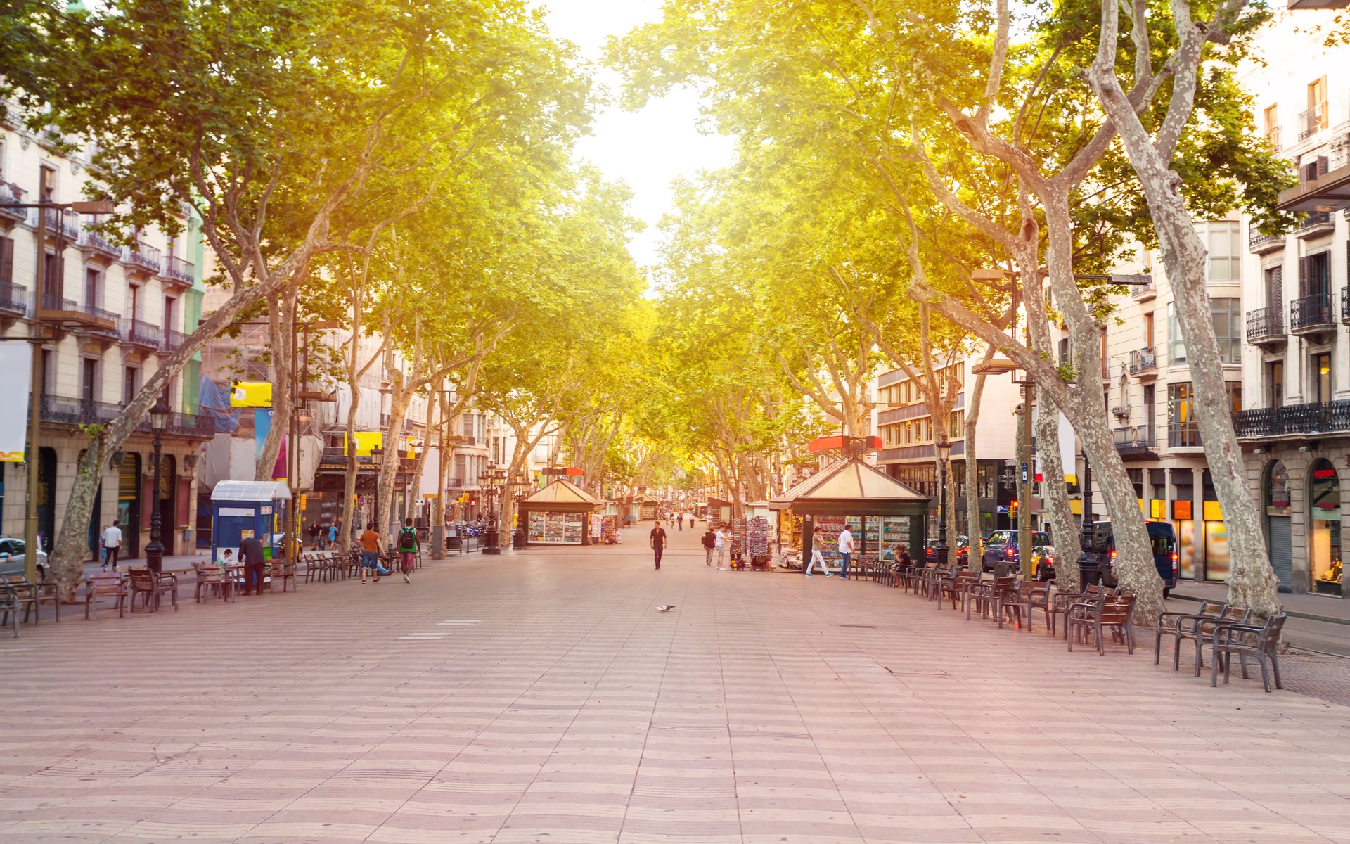 header picture of tour パリ発　フレンチバスクとバルセロナ・マドリード・アンダルシア地方　スペイン周遊