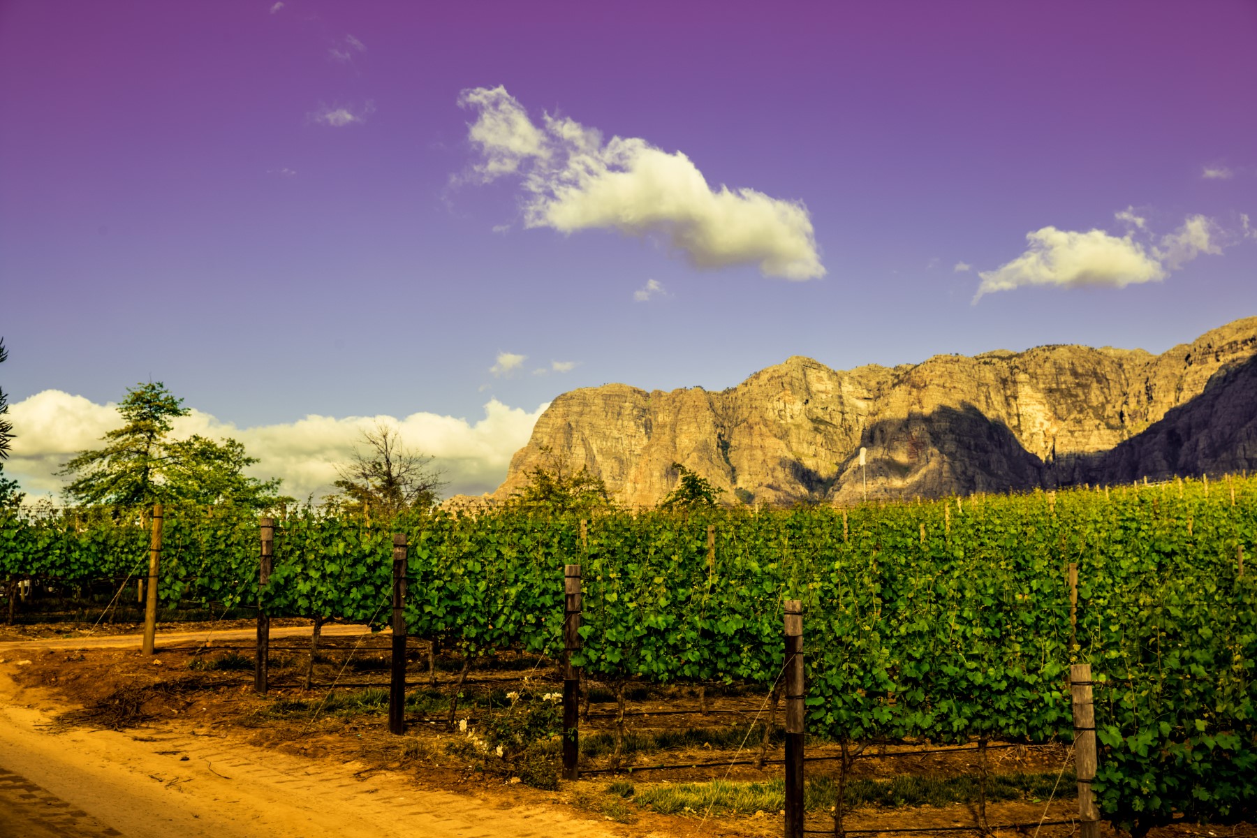 imagen de cabecera del circuito Sudáfrica con Ruta Jardín