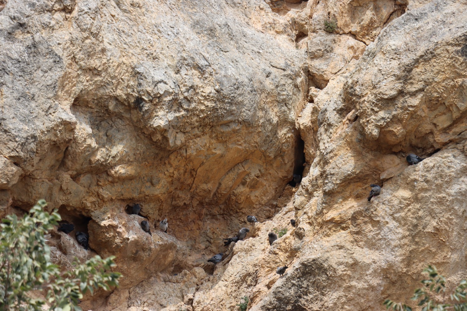 header picture of tour Essences of Iran: From the Caspian Sea to Persepolis end Kerman