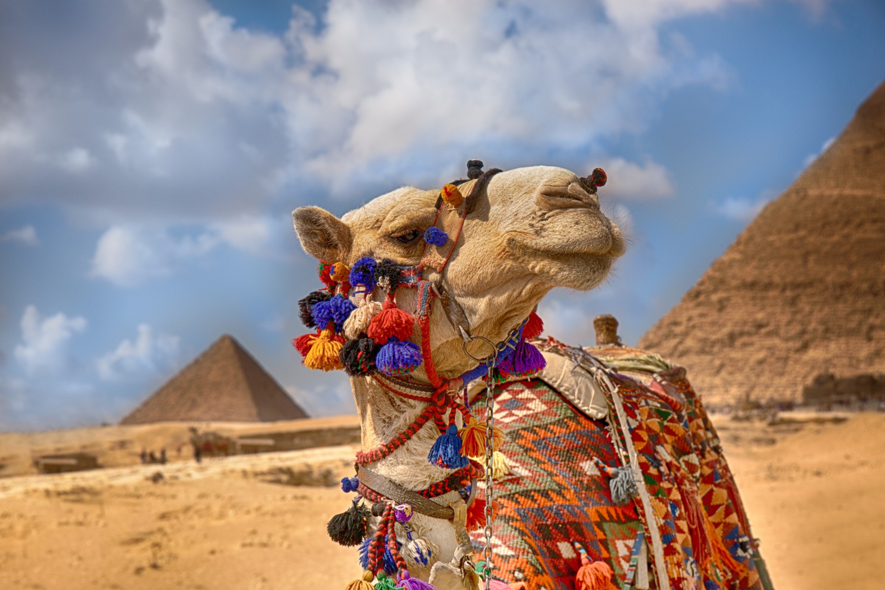 header picture of tour Egypt with 4 Days Nile Cruise