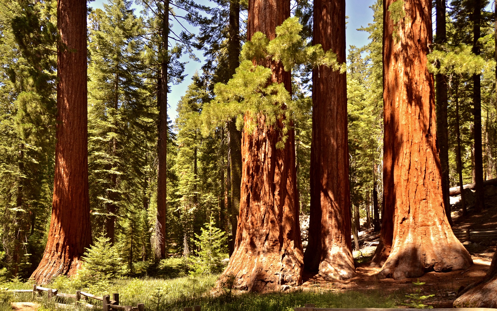 header picture of tour Unmissable Canada and Western Classics