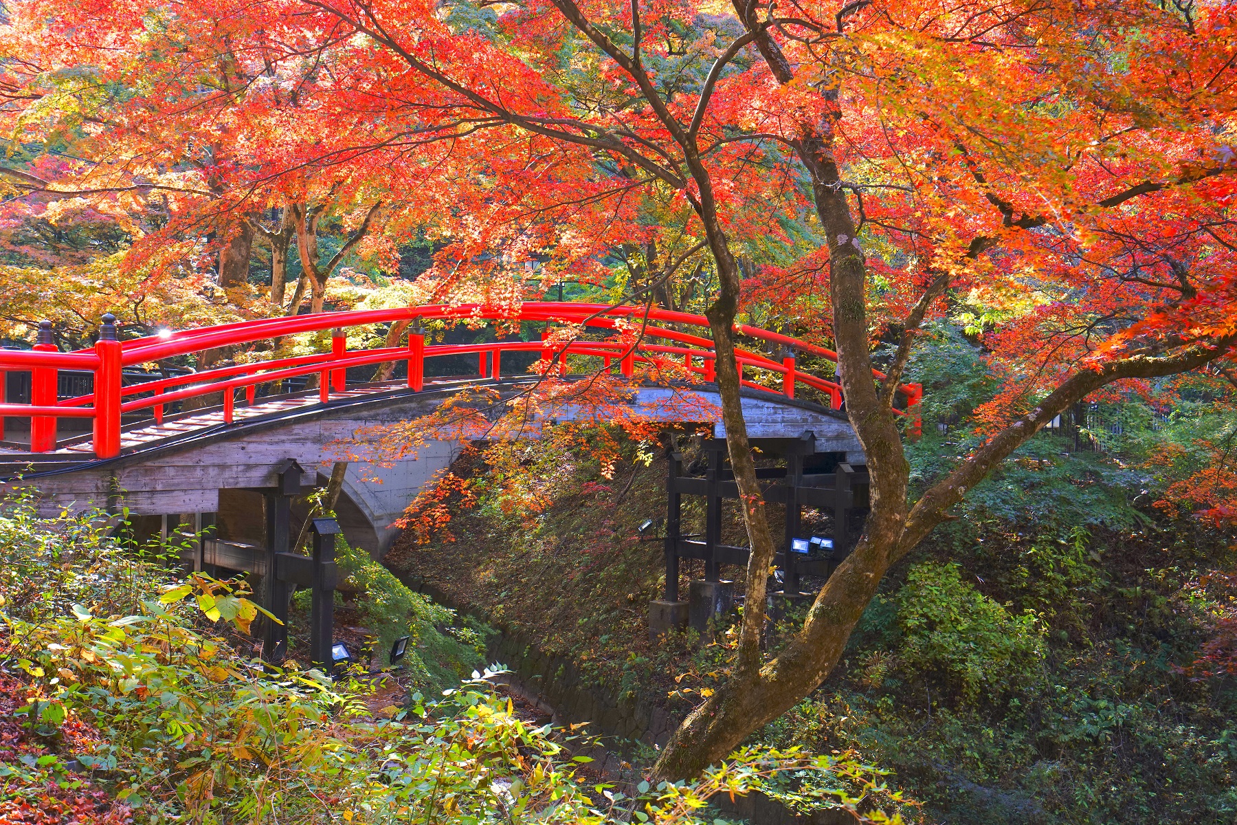 imagen de cabecera del circuito Paisajes de Japón