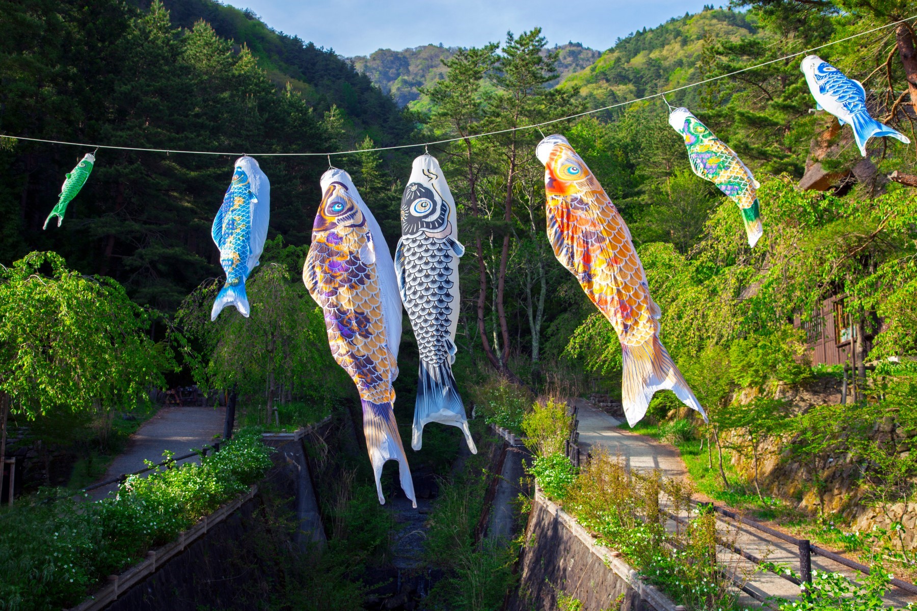 header picture of tour Essential Japan