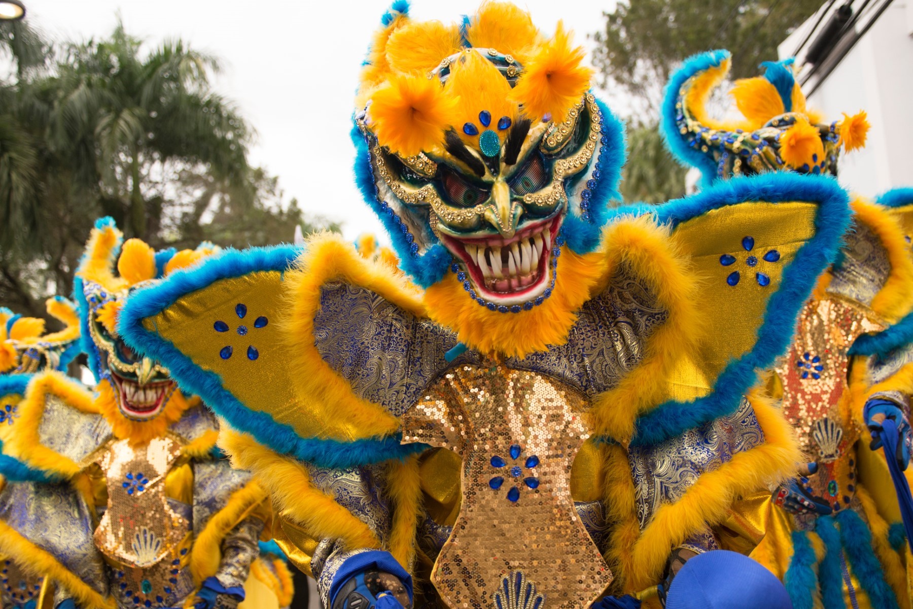 imagen de cabecera del circuito Merengue y Bachata fin Santo Domingo