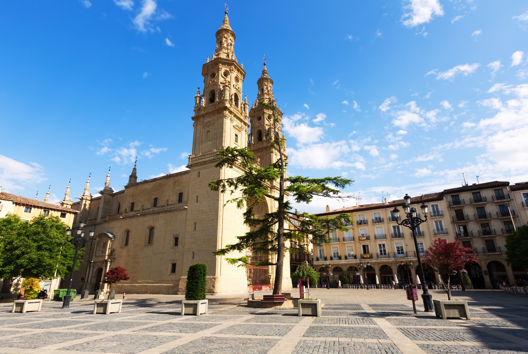 header picture of tour Oenological Rioja