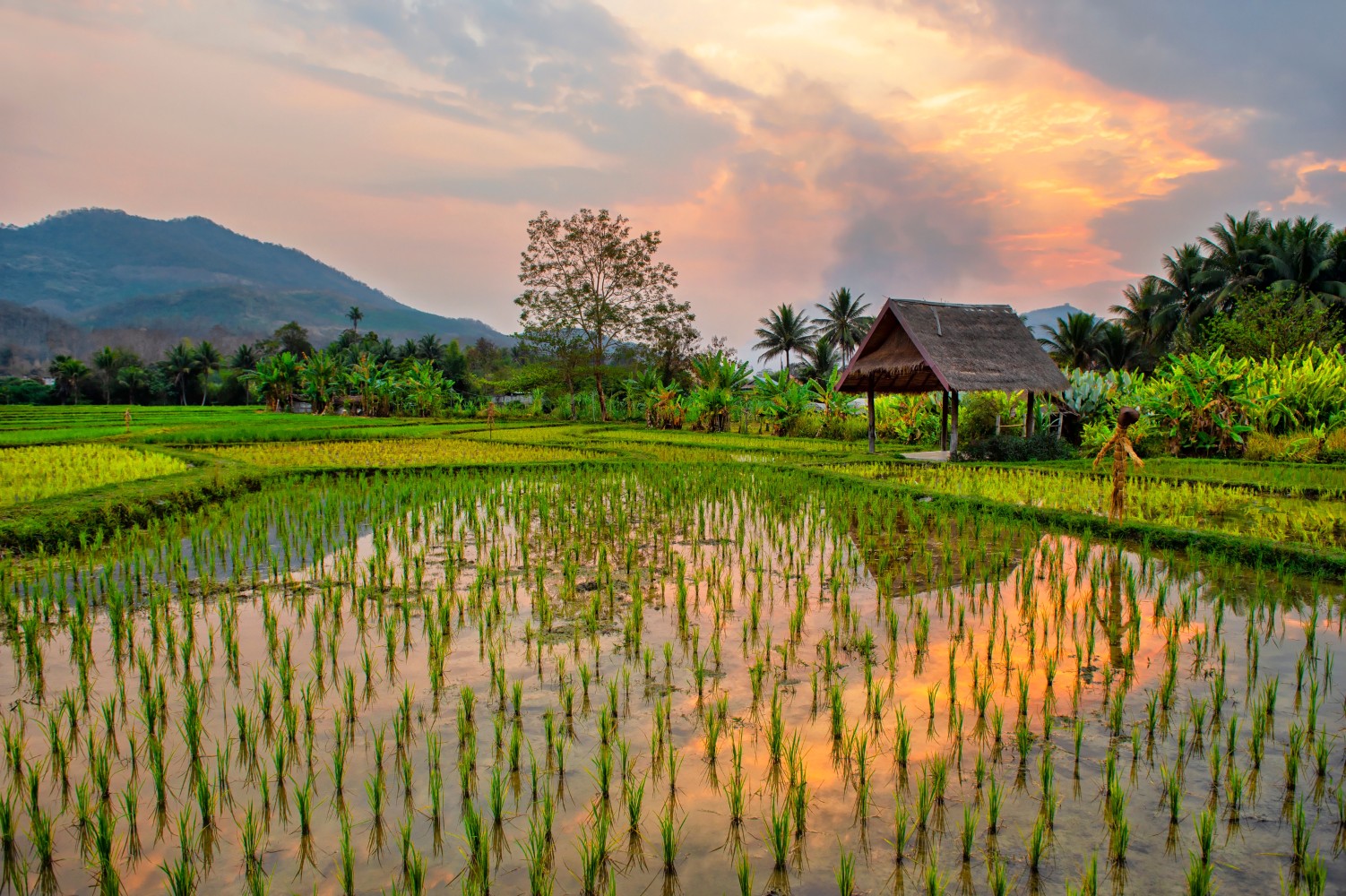 header picture of tour Thailand and Laos: Treasures of the Mekong
