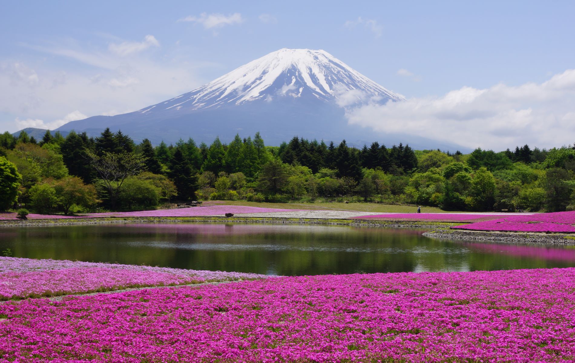 header picture of tour Korean Snapshots and Japan with Hakone