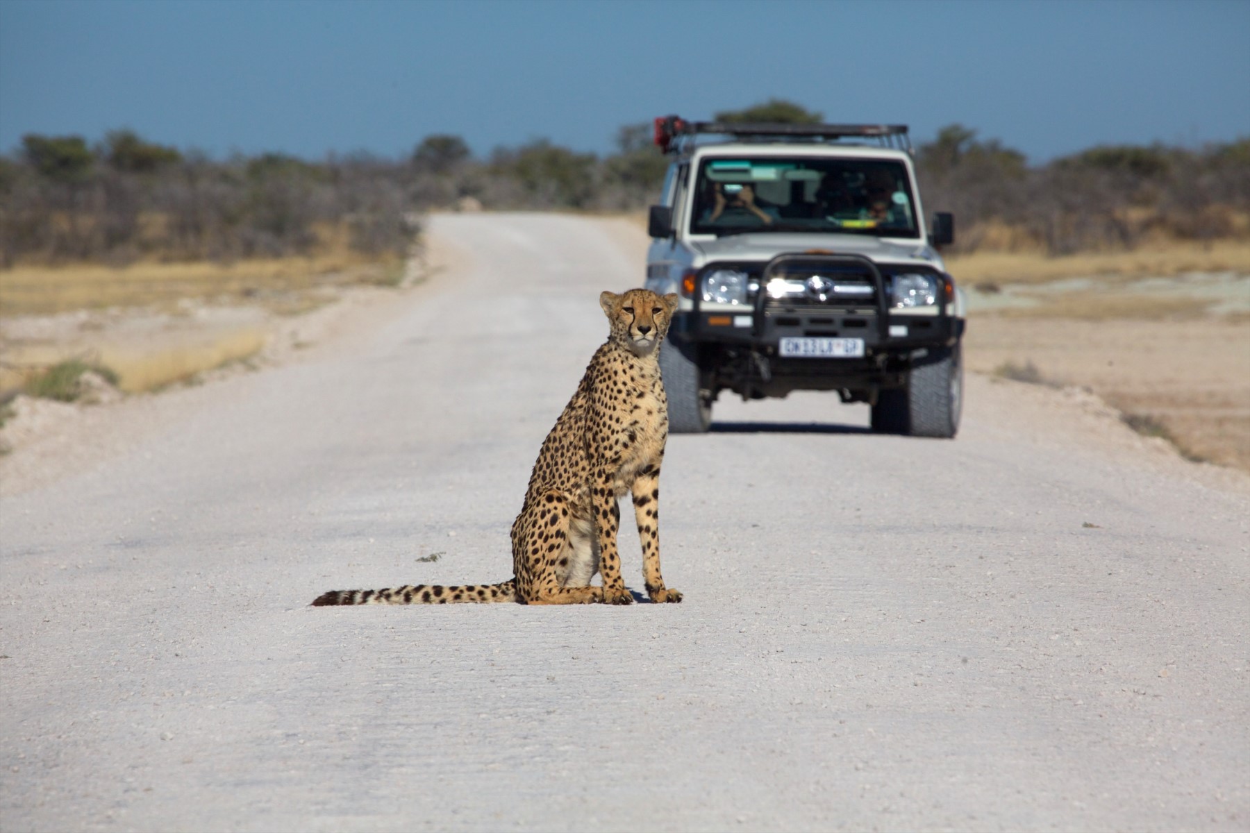 imagen de cabecera del circuito Scenic Namibia