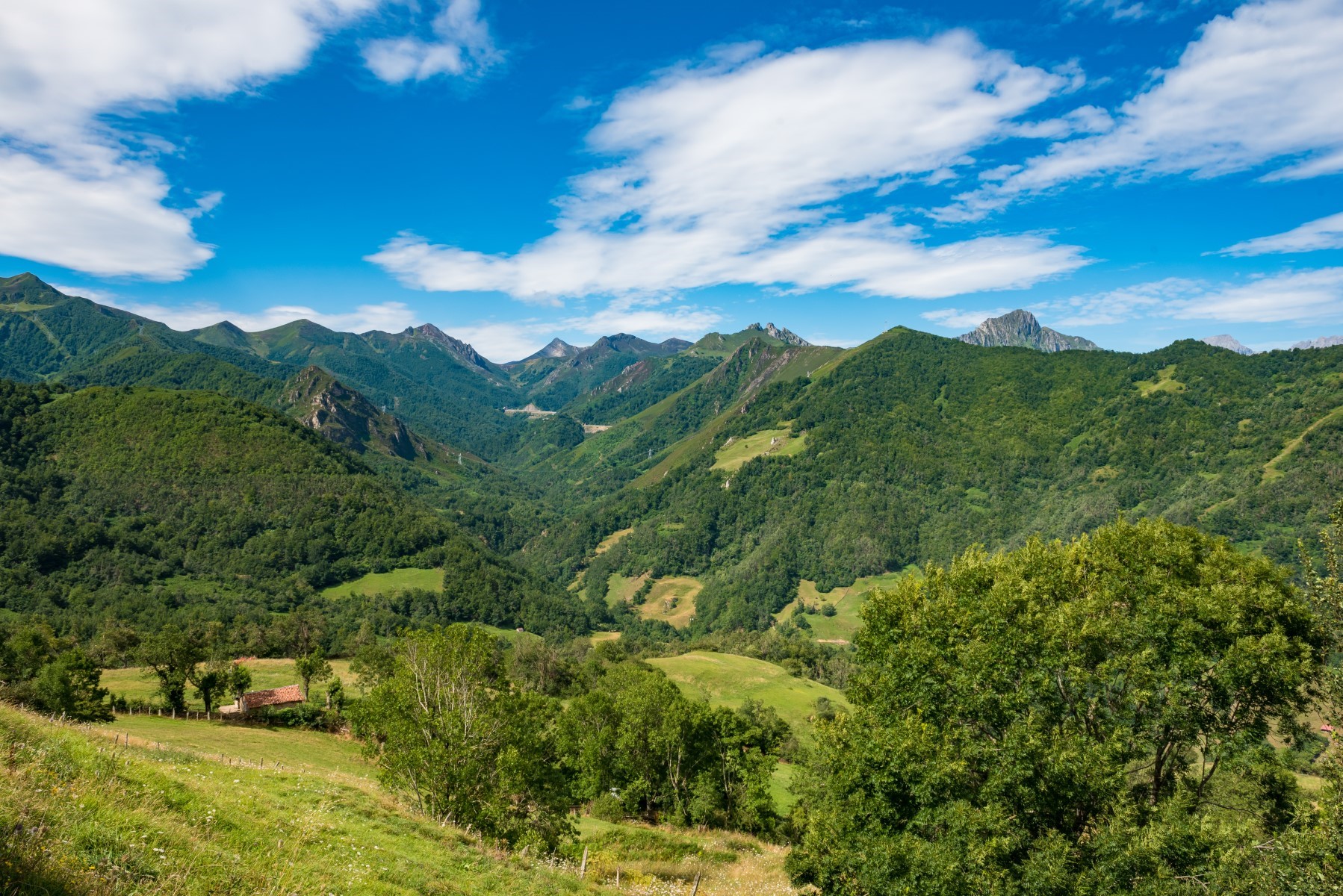 header picture of tour Asturias Northern Sky