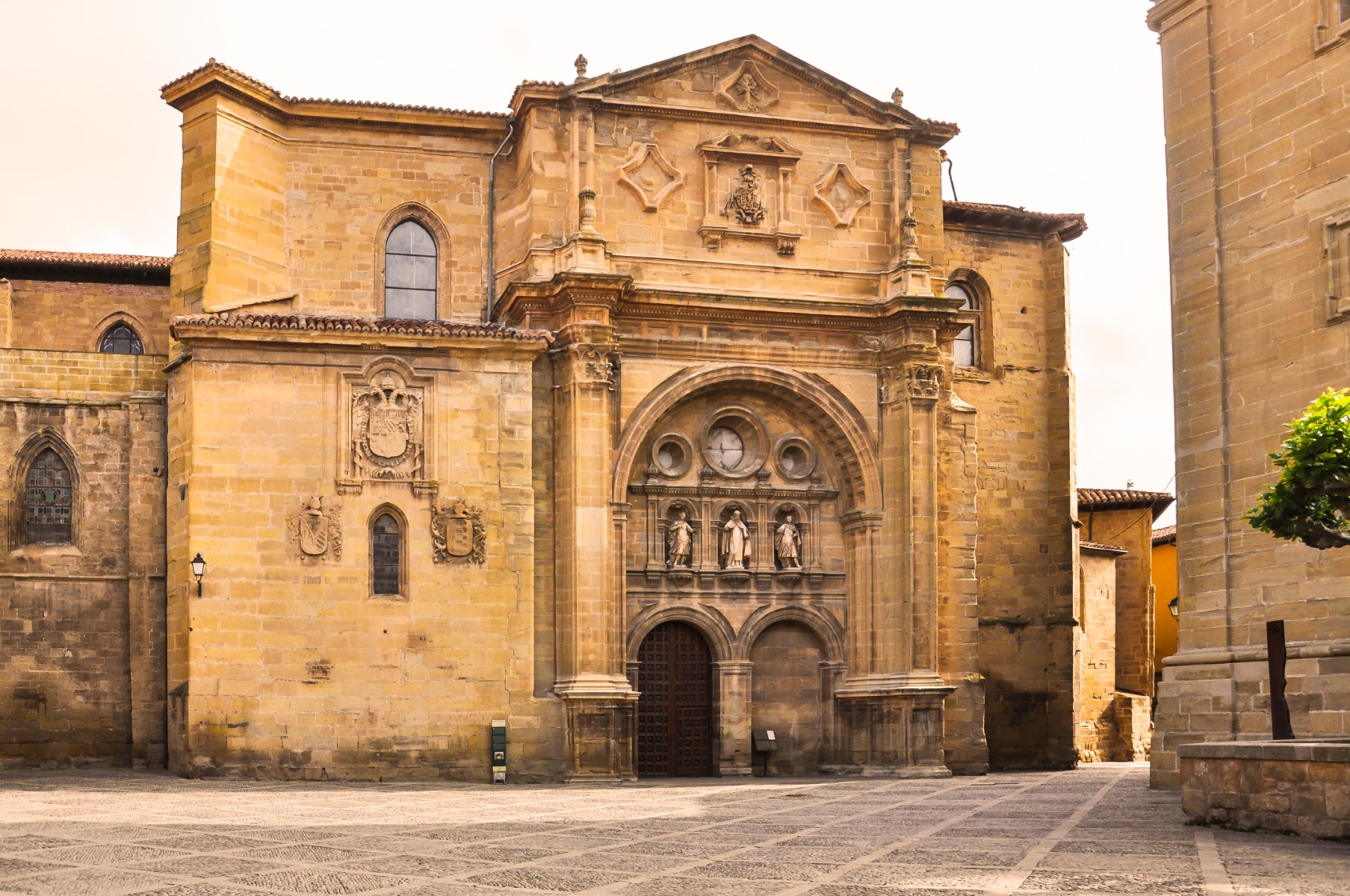 header picture of tour Oenological Rioja