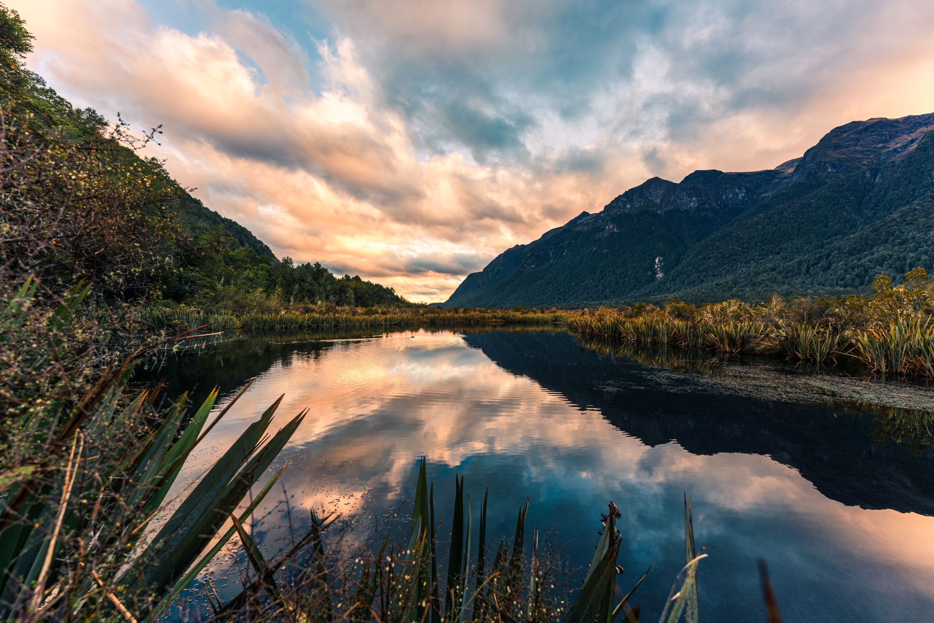 imagen de cabecera del circuito Escenarios de Nueva Zelanda