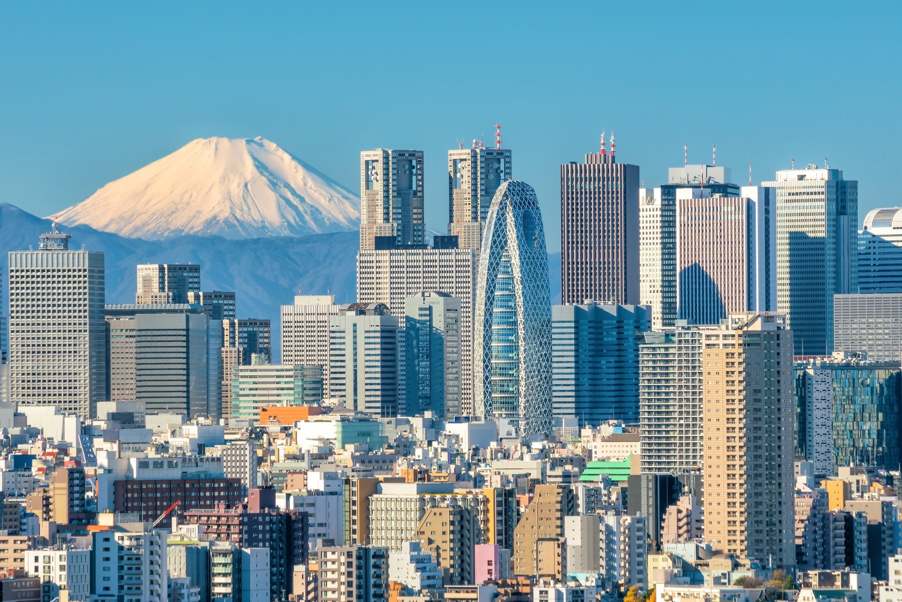 imagen de cabecera del circuito Japón Auténtico I
