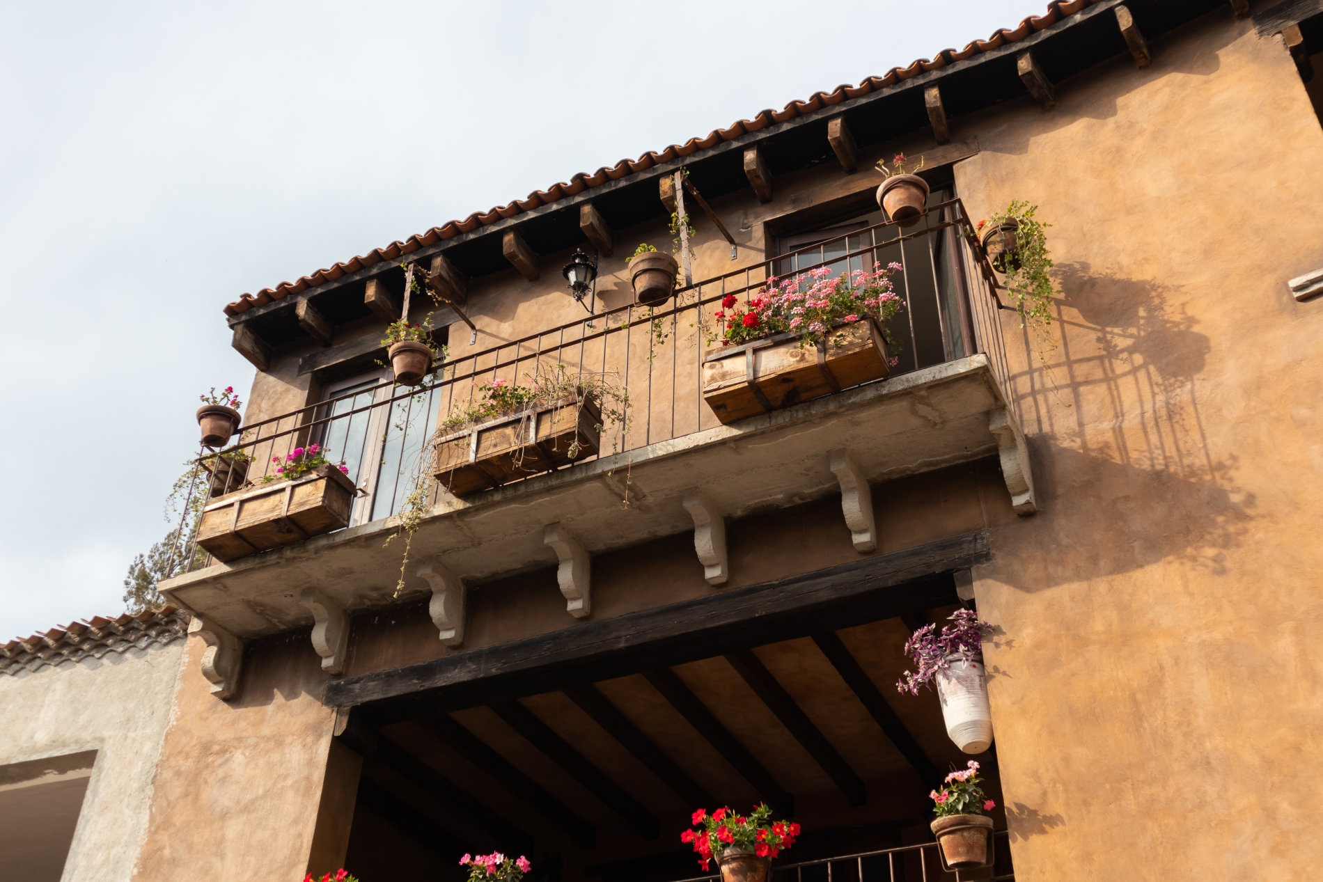 header picture of tour Mexico City