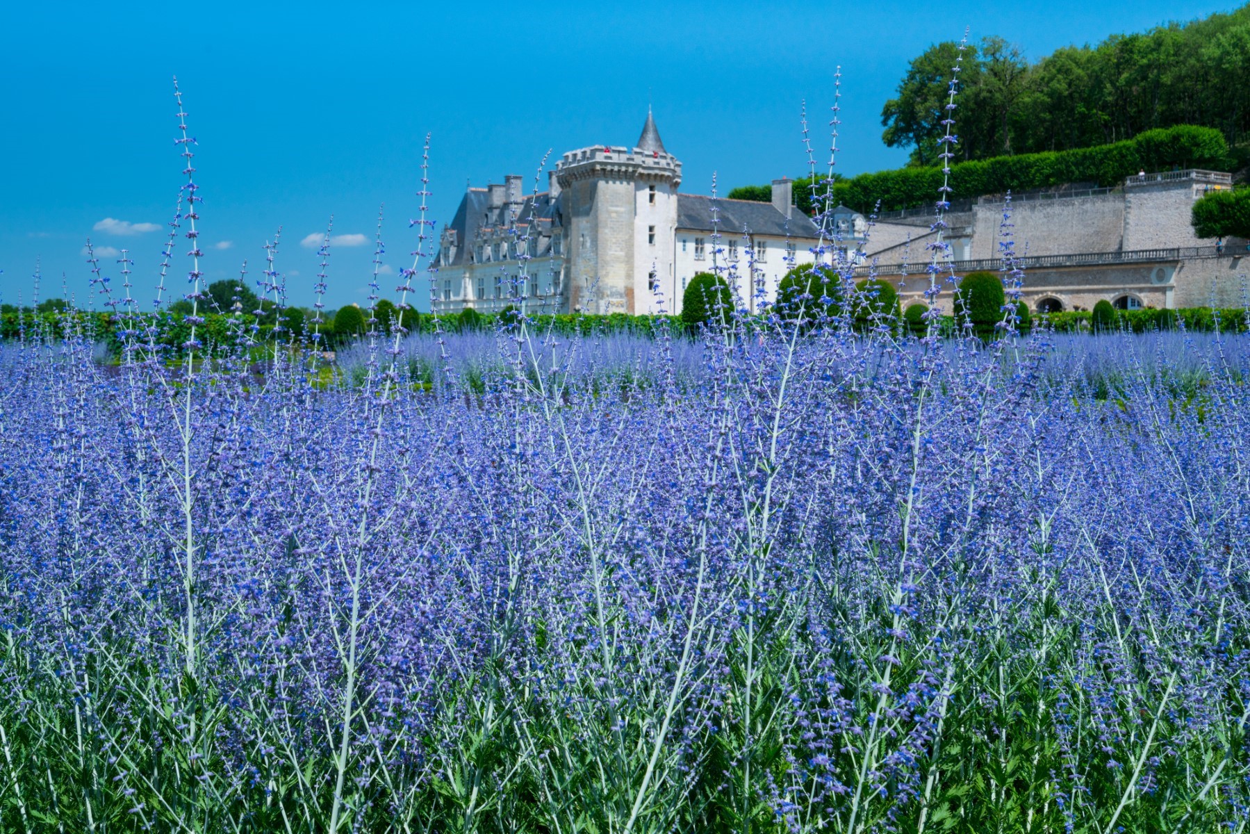 imagen de cabecera del circuito Mont Saint Michel y Castillos del Loira