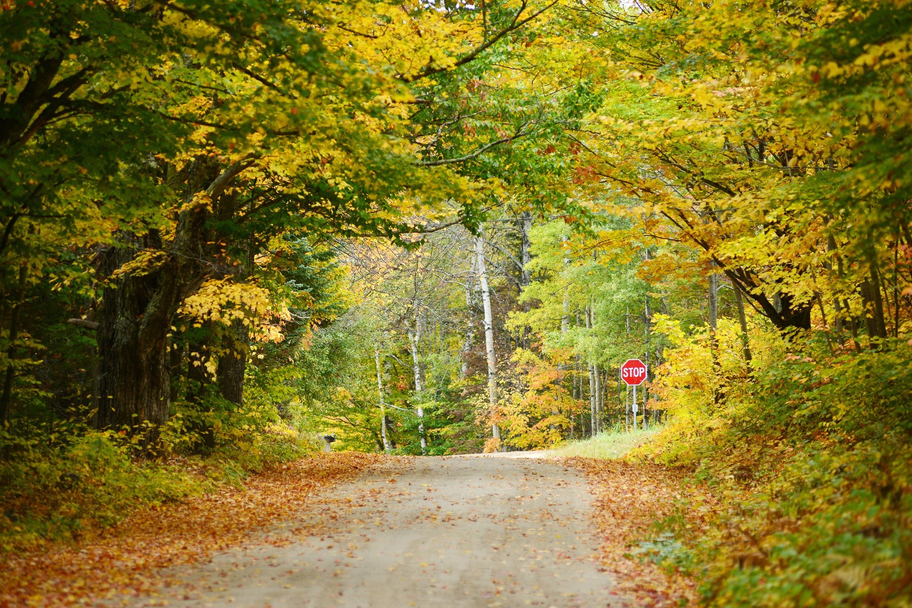 imagen de cabecera del circuito Panorama de Usa y Canadá