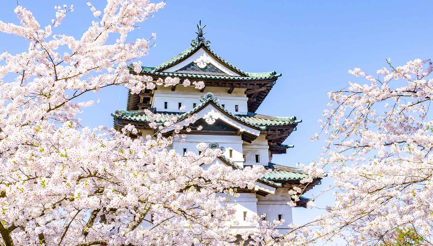 Castillo de Hirosaki ubicado en un hermoso parque donde florecen en primavera más de 2500 cerezos
