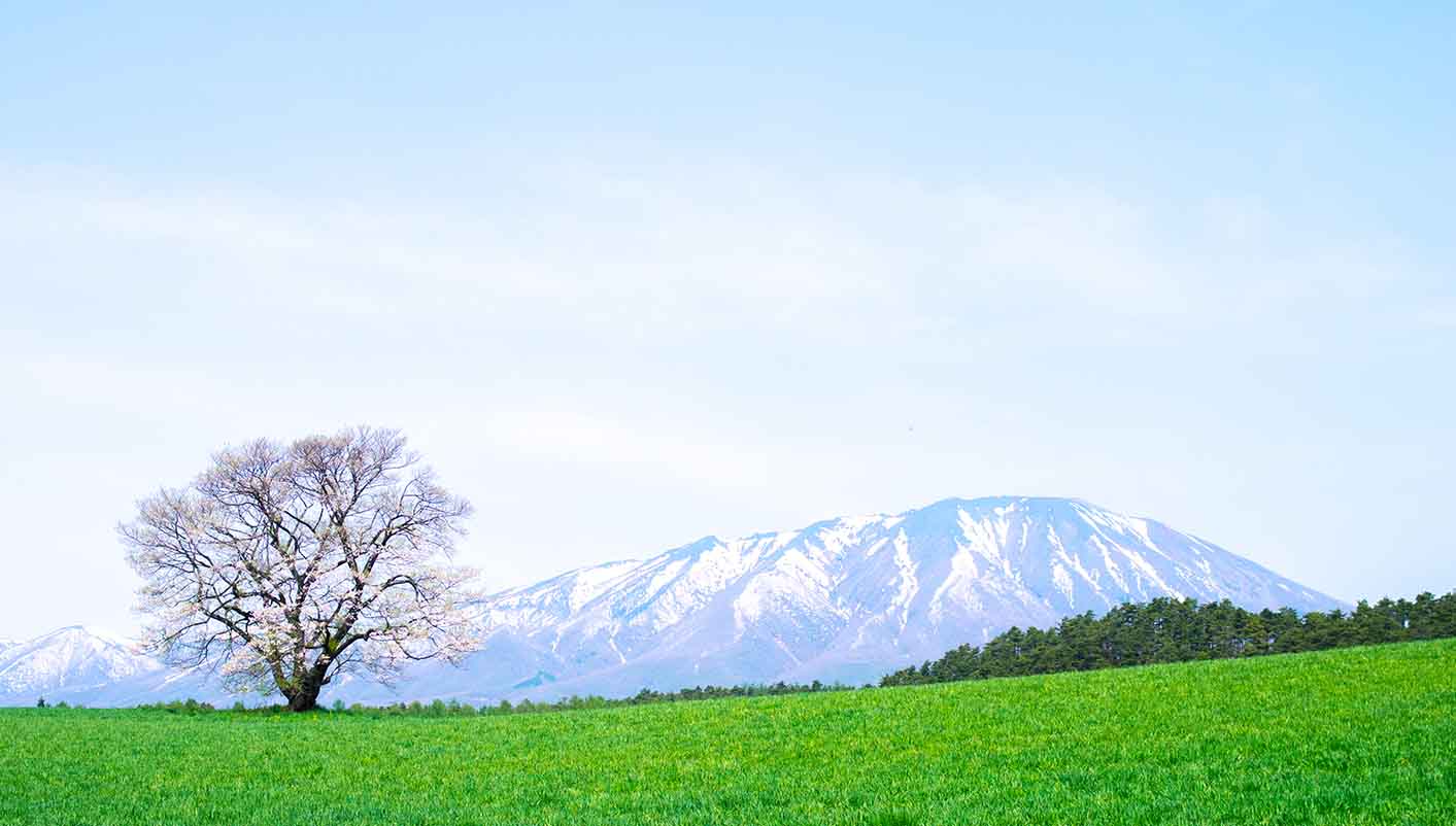 La agradable capital de la provincia de Iwate
